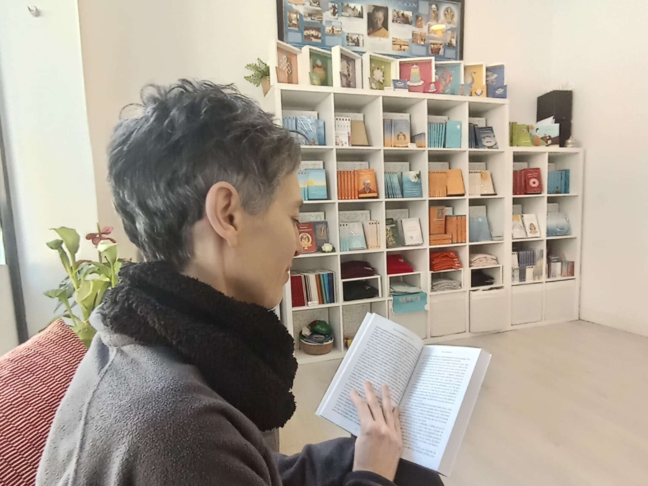 Leyendo